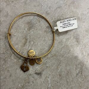 Alex and Ani Gold Charm Bracelet